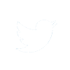Twitter White Logo